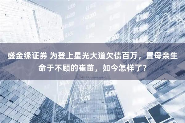 盛金缘证券 为登上星光大道欠债百万，置母亲生命于不顾的崔苗，如今怎样了？